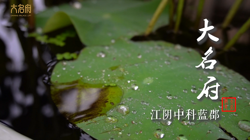 【大名府案例】江陰中科藍(lán)郡安裝簡(jiǎn)約風(fēng)全觀光電梯E19型